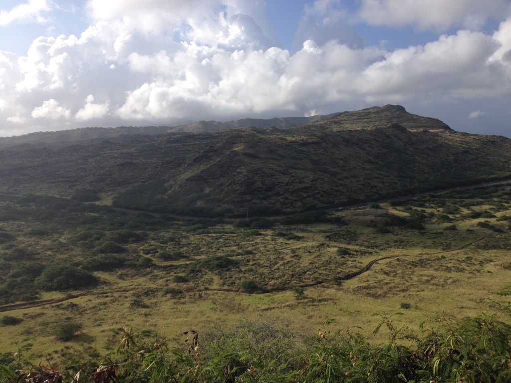 Ka Iwi lands. Photo: Judy Harris