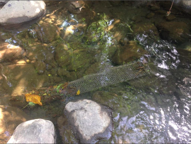 Part of the pipe the Dueys installed in Wailuku River more than a decade ago.